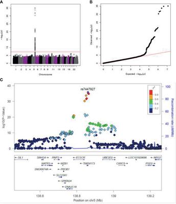 Polymorphisms in STING Affect Human Innate Immune Responses to Poxviruses